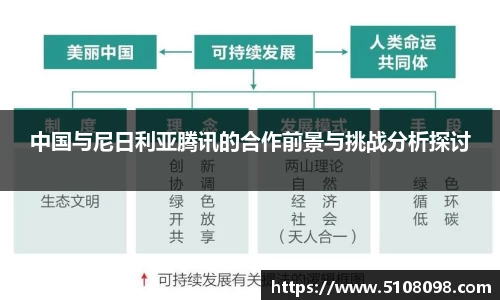 中国与尼日利亚腾讯的合作前景与挑战分析探讨